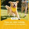PawHut Hunde-Agility-Trainingsgeräte, Hund Agility Set, Produktbild-Vorschau 9