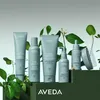 Aveda Scalp Solutions Hydrating Hair & Scalp Masque 150ml Anteprima dell’immagine prodotto 3