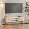 Meuble TV « Eskilstuna » avec 2 portes et 2 étagères Voir les images du produit 1