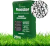 Trávníkové hnojivo Anti-Moss 25 kg na 1250 m² Posilovač Náhled obrázku produktu 1