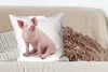 MuchoWow® Zierkissen Sofakissen Wohnzimmer Dekokissen 60x60 Produktbild-Vorschau 4
