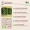 Samenliebe  Rosenkohl Samen | Brüsseler Rosenkohl - Produktbild-Vorschau 3