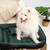 A fluffy white dog sits on a green dog bed next to a potted plant. Voir les images du produit