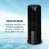 A black tower fan is shown against a bright blue sky and water background, with text describing its features. Produktbild-Vorschau