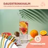 bremermann 6er Glas-Trinkhalme, 20 cm Länge, Produktbild-Vorschau 3