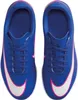 Hallenschuhe Nike FQ8289-446 für Kinder Produktbild-Vorschau 10