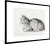 MuchoWow® MuchoWow® Gerahmtes Poster Liegende Katze - Produktbild-Vorschau 1