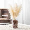 Deko-Steine 5 KG creme Ø 5-8 mm Vasen Glas-Füllung Produktbild-Vorschau 5