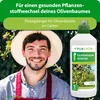 Purgrün Olivenbaum-Dünger 1 Liter, Produktbild-Vorschau 2