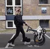 A DECE OASIS E-Bike Air 20S pedelec Fahrrad,Faltrad,,250W Produktbild-Vorschau 8