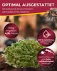 Muschio naturale Anteprima dell’immagine prodotto 2
