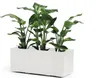 Pflanzkasten GREENER KEBE 100 cm wei Produktbild-Vorschau 4