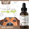 Animal Pro | Wurmsan Liquid | Für Haustiere: Hund & Katze Produktbild-Vorschau 2