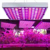 A collage showing a grow light from above and in use over plants. Náhled obrázku produktu