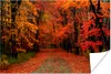 MuchoWow® Poster Herbst - Wald - Laub 180x120 cm - Produktbild-Vorschau 1