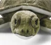 Carl Dick żółw, żółw morski, żółw wodny ok. 31 cm 3323 Podgląd zdjęcia produktu 3