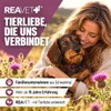 REAVET Olio di cardo mariano per cani e cavalli, 250 ml – Anteprima dell’immagine prodotto 7