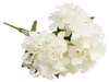 Hortensia Dense Beau Bouquet D'hortensias Fleurs Voir les images du produit 4