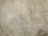 Lana kapok Nobby 50 g Anteprima dell’immagine prodotto 2