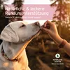 AniForte 4in1 Snack für Hunde 300g - Natürliche Produktbild-Vorschau 6