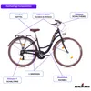 Cityrad Bella 2 – 28 Zoll Damen Hollandrad mit Shimano Produktbild-Vorschau 4