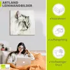 ARTland Leinwandbild Katzenporträt weiß Größe: 30x30 cm Produktbild-Vorschau 3