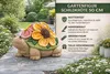 Formano Große Gartenfigur Schildkröte Dekofigur 50x32 cm Produktbild-Vorschau 3