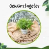 Enseleits 2er Set Gewürztagetes Orange Gem, Tagetes Produktbild-Vorschau 3