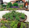 A garden with a raised flower bed bordered by Corten steel, featuring roses, lavender, and an owl decoration. Produktbild-Vorschau
