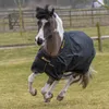 A horse wearing a black and gold Bucas turnout rug is running in a grassy field with a wooden fence in the background. Produktbild-Vorschau