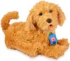 Mes amis flous Moji Labradoodle Voir les images du produit 1