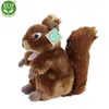 Peluche écureuil 21 cm ECO-FRIENDLY Voir les images du produit 12