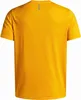 Koszulka Under Armour 1382582-793 dla Męskie Podgląd zdjęcia produktu 4