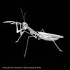 Metal Earth Praying Mantis, Bausatz, Metall Produktbild-Vorschau 10
