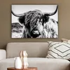 OneMillionCanvasses® - Obrazy na plátně - Kráva - Skotský Náhled obrázku produktu 5