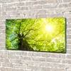 Tulup Glas-Bild -140x70- Wandkunst Dekorative Wand für Produktbild-Vorschau 2