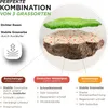 Rasensamen schnellkeimend 2,5kg = 75-100m² Sport und Spiel Produktbild-Vorschau 5