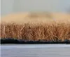 A close-up side view of a coir doormat, showing the texture of the fibers and the black backing. Náhľad obrázku produktu