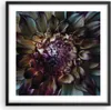 Gerahmtes Poster - Schwarzer Rahmen - Blätter Agave Blume - Produktbild-Vorschau 1