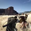 Pearl Abyss Crimson Desert, PlayStation 5, od 17 lat, Podgląd zdjęcia produktu 5