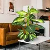 Dieffenbachia umelá rastlina umelá rastlina 75 cm umelá Náhľad obrázku produktu 4