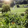 Set Tomatenspiralstab 180cm Alu, 5 Stk. Produktbild-Vorschau 2