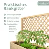 holz4home® Pflanzkasten mit Rankgitter XL aus Kiefernholz I Produktbild-Vorschau 3
