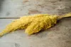 Pampasgras getrocknet ca. ±70cm 6 Stück in Natur und Produktbild-Vorschau 2