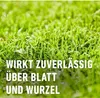 Compo Rasenunkrautvernichter Banvel Quattro 150 ml Produktbild-Vorschau 4