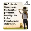 Vitabay Liposomales NAD+ 1000 mg – 90 vegane Softgels – mit Produktbild-Vorschau 4