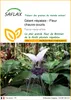 SAFLAX  - Géant népalais - Fleur chauve-souris - 10 graines Voir les images du produit 1
