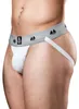 MM Sports Original Edition Swimmer/Jogger Jockstrap 2 inch Podgląd zdjęcia produktu 7