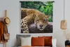 MuchoWow® Wandteppich Wandbehang Jaguar ruht 120x120 cm Produktbild-Vorschau 4