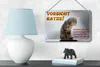 Blechschild Hinweis 18x12cm Vorsicht Katze Strichliste Produktbild-Vorschau 4